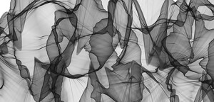 Black & White Abstract