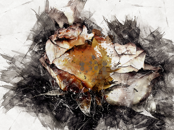 PaintedRose Print