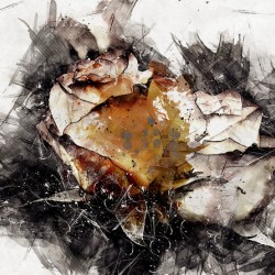 PaintedRose