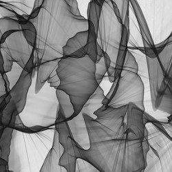 Black & White Abstract
