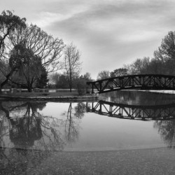 Bridge of dreams