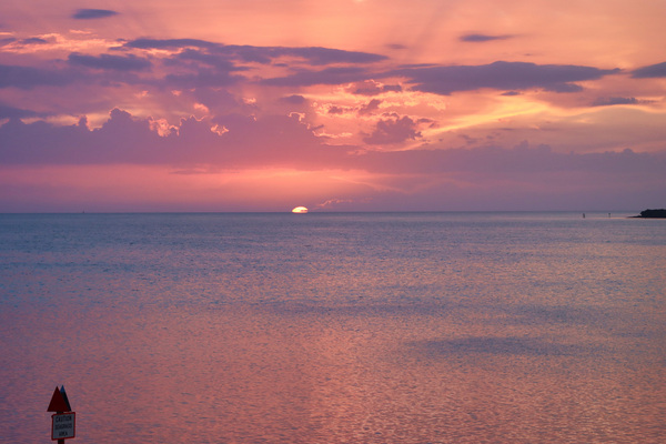 Pastel Coral Light by Hurricane Point Studios