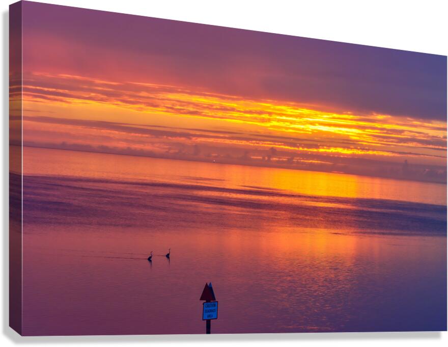 Two Herons Sunset Canvas Print