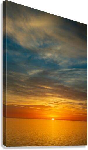 Sativum Canvas Print