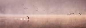 Cleared for Take off - Panorama