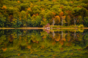 Nuclear Lake Fall Reflections