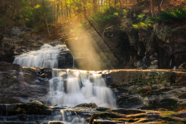 A Beautiful Gift Digital Download