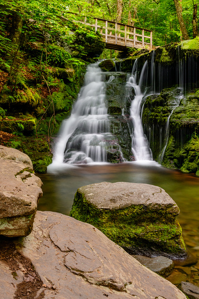 A Path into the Notch by Jane Haslam