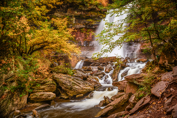 Autumn glory by Jane Haslam