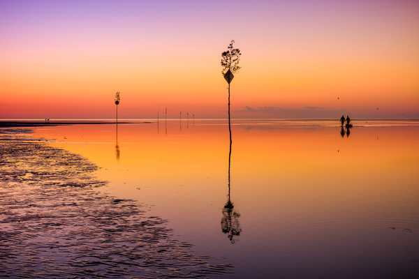 Balance by Jane Haslam