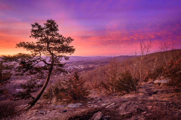 Fiery Sky by Jane Haslam