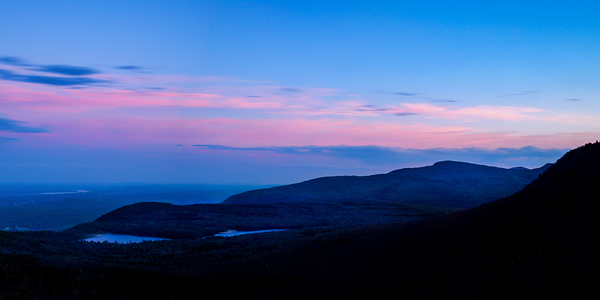 Into the Night by Jane Haslam