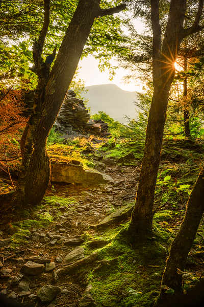 Let there be Light by Jane Haslam