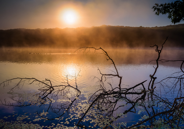 Morning Glow by Jane Haslam