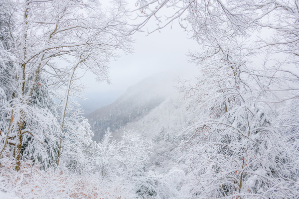 Narnia by Jane Haslam