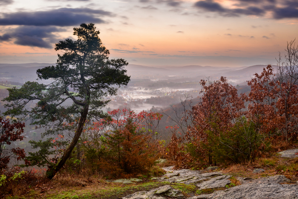 November Mornings by Jane Haslam