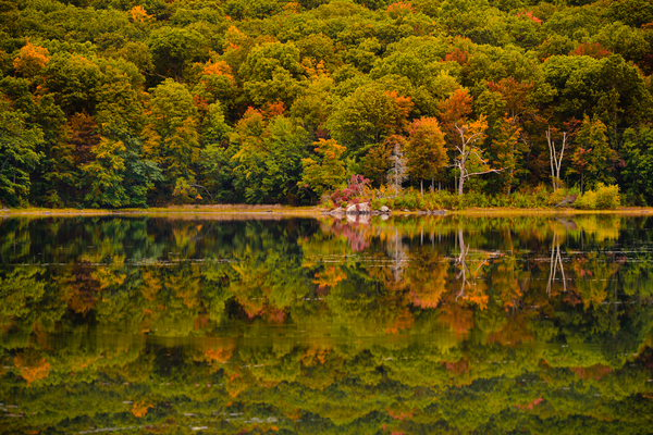Nuclear Lake Fall Reflections Digital Download