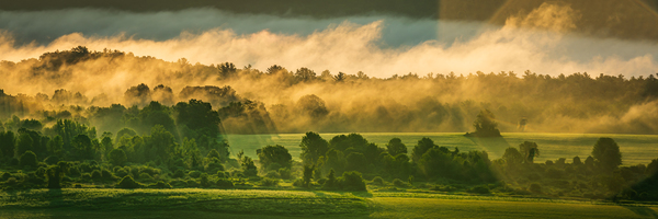 Patterns in the Morning - Panorama by Jane Haslam