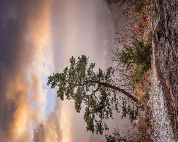 Squall by Jane Haslam