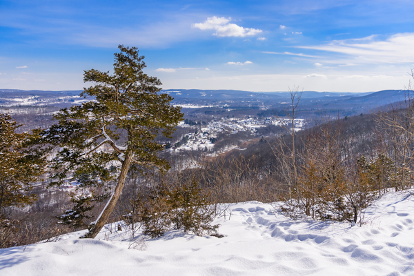 Winter Blues 2 by Jane Haslam