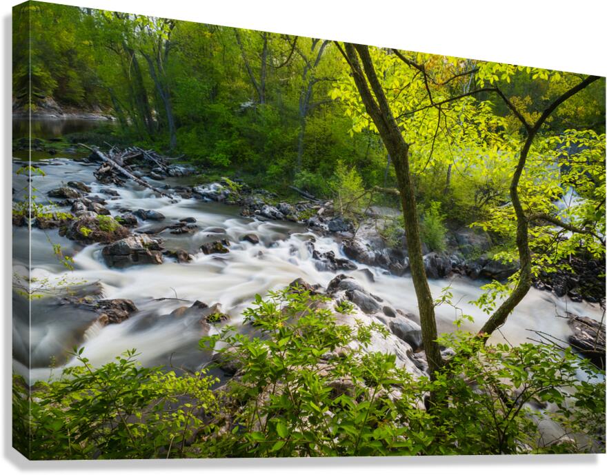 The Rapids Canvas Print