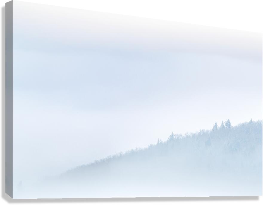 Winter mist Canvas Print