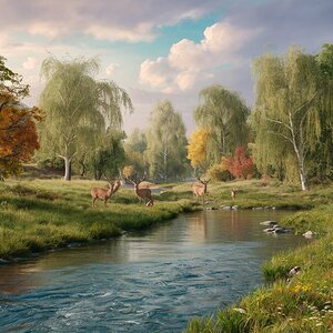 a serene and peaceful landscape of nature show