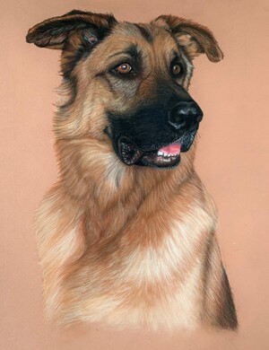 Axel
