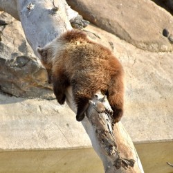 Naptime