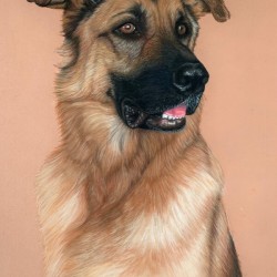 Axel