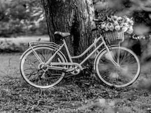 Bike with Flowers