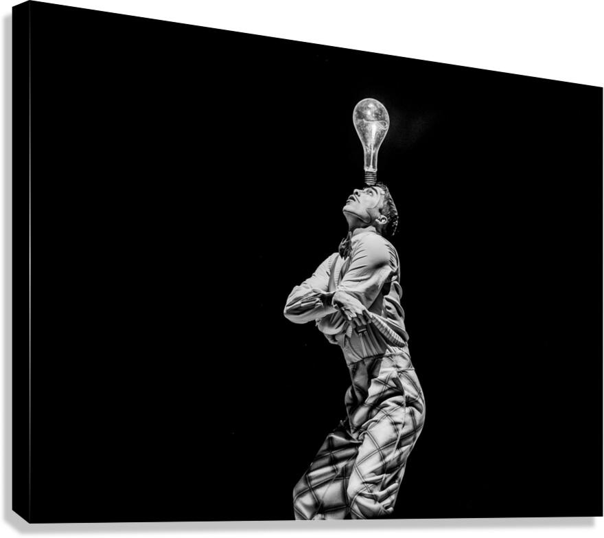 Cirque  Canvas Print