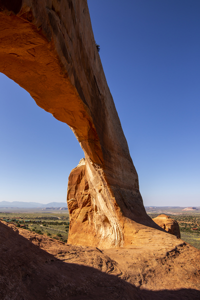 Wilson Arch Print