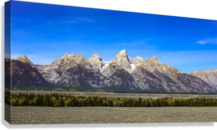 IMG 8671 Canvas Print