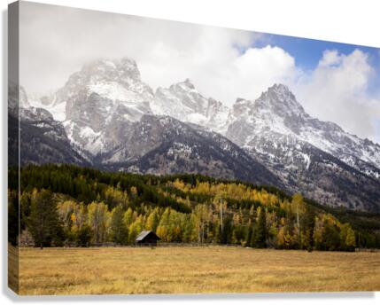 IMG 9148 Canvas Print