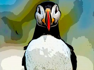 Penguin