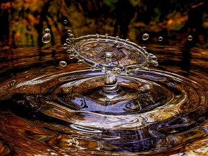 Splash
