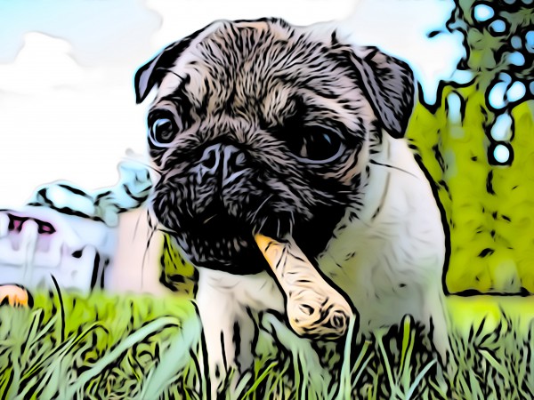 Chew Bone Print