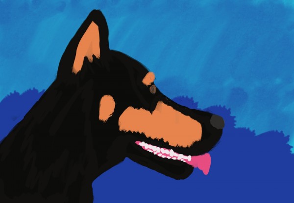 Doberman Print