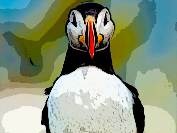 Penguin Print