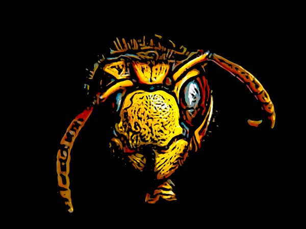 Stinger Print