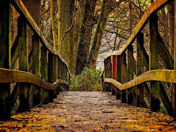 The Bridge Print
