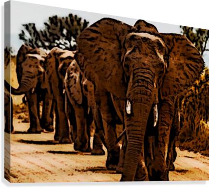 Elephants Marching Canvas Print