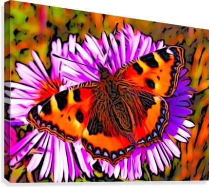 Butterfly Canvas Print