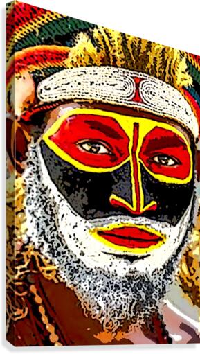 African 2 Canvas Print