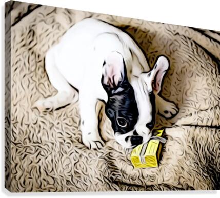 For You Canvas Print