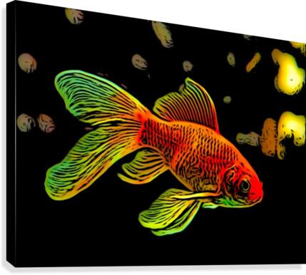 Goldfish Canvas Print