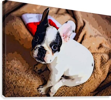 Hungry Canvas Print
