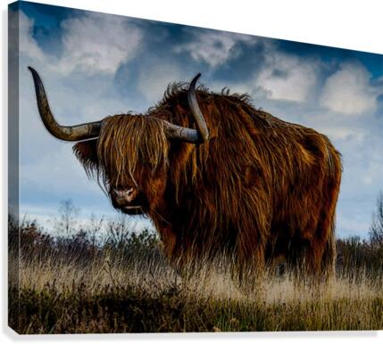 The Beast Canvas Print