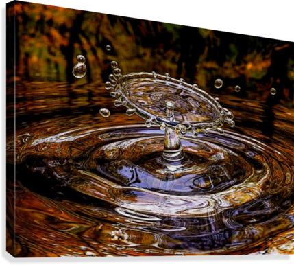 Splash Canvas Print